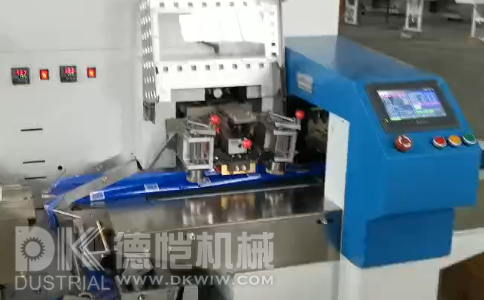 灌裝自動包裝機(jī)